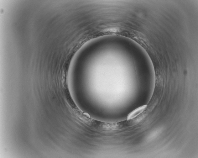 X0000060260767200511010913