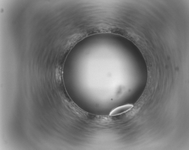 X0000060260768200511010913