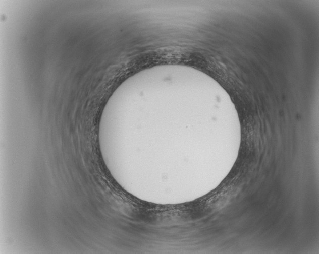 X0000060260769200511010912