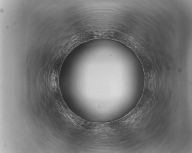 X0000060260770200511010912