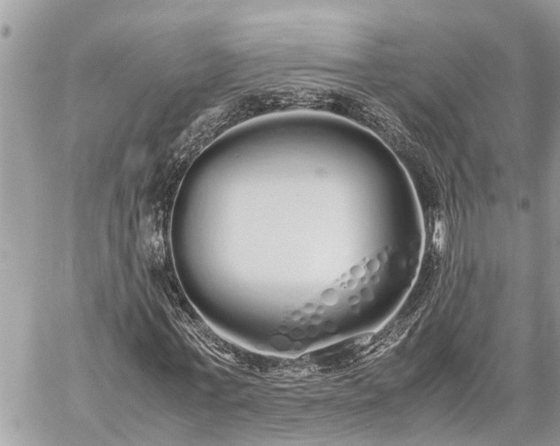 X0000060260771200511010912