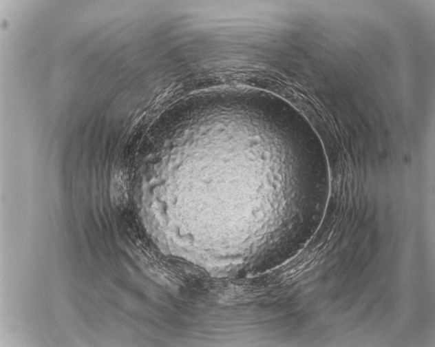 X0000060260772200511010912