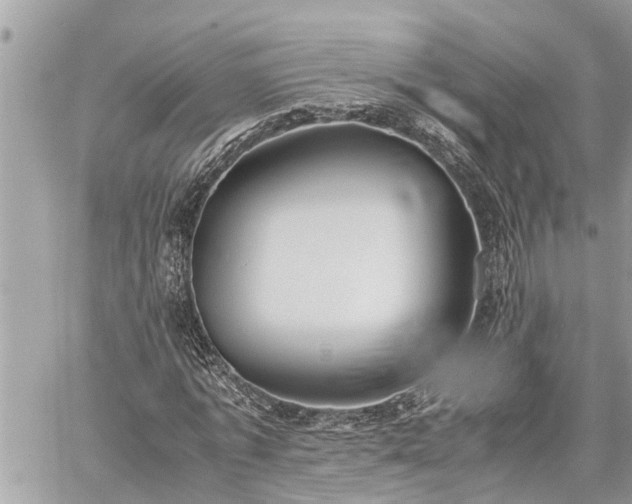 X0000060260773200511010912