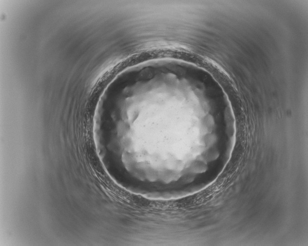 X0000060260775200511010912