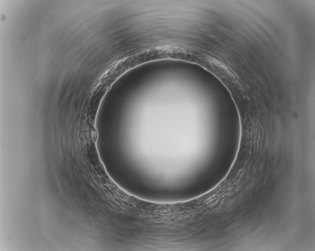 X0000060260776200511010912