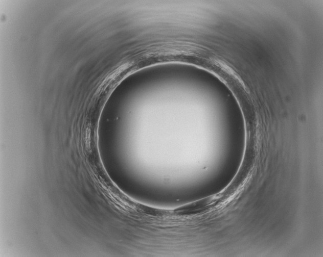 X0000060260777200511010912