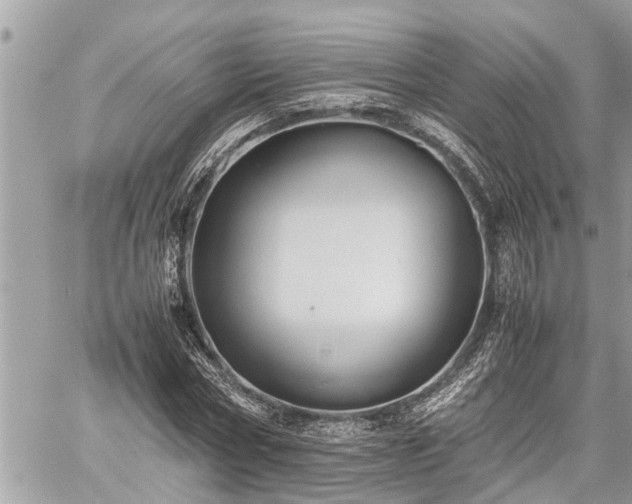 X0000060260778200511010912