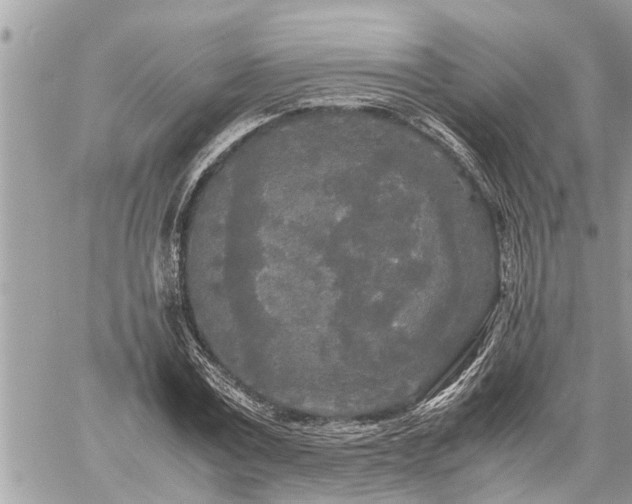 X0000060260779200511010912