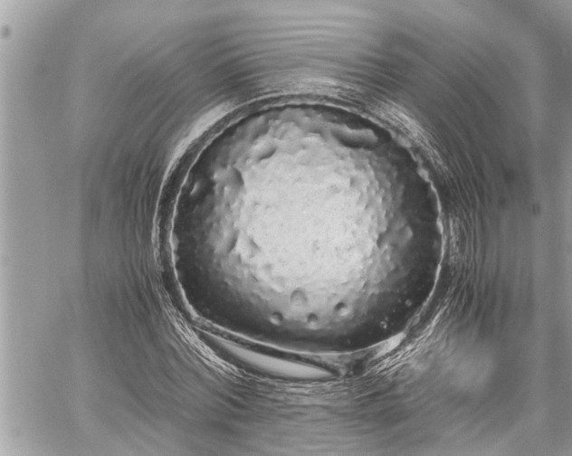 X0000060260780200511010912