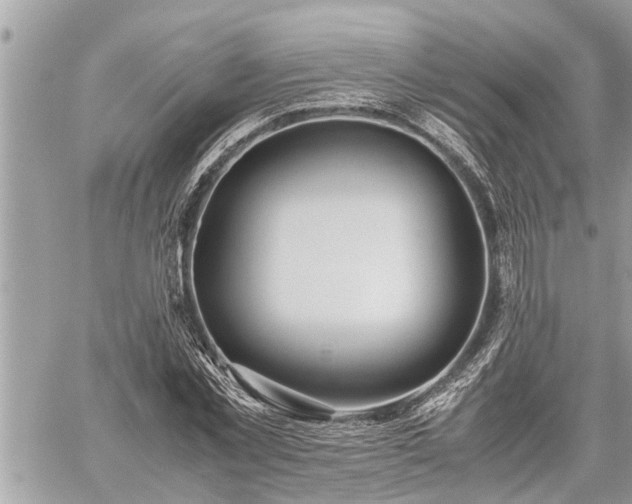 X0000060260781200511010912