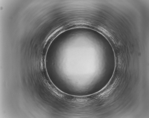 X0000060260782200511010912