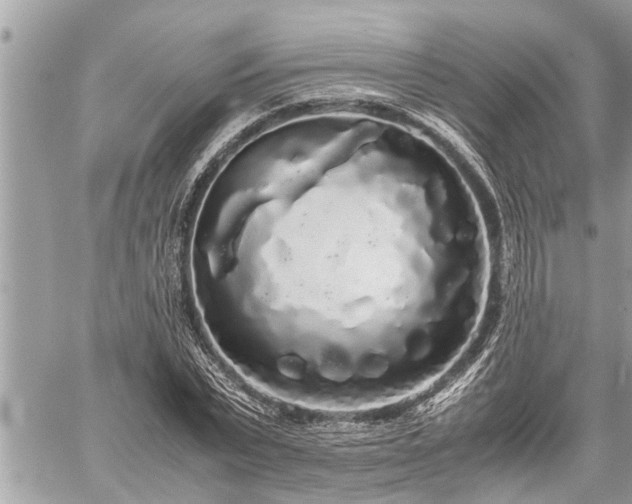 X0000060260783200511010912