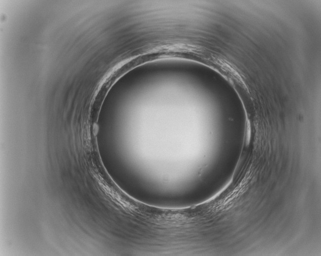 X0000060260784200511010912