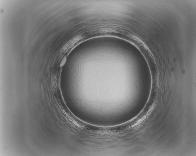 X0000060260785200511010912