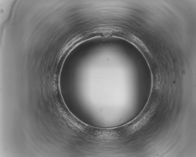 X0000060260786200511010912