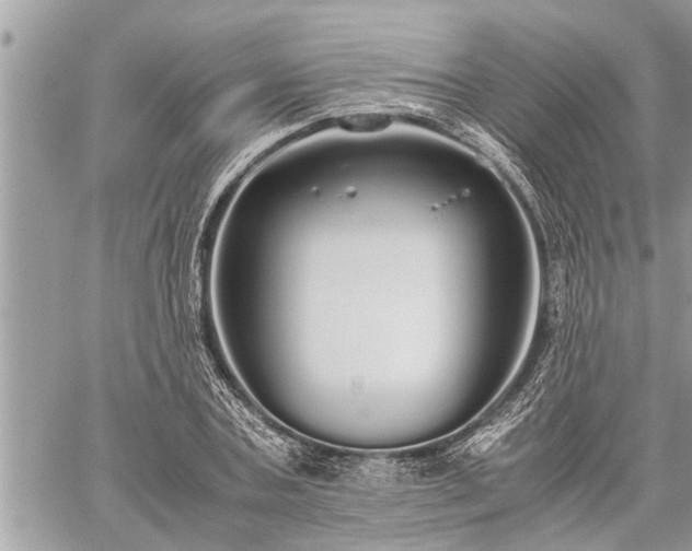 X0000060260787200511010912