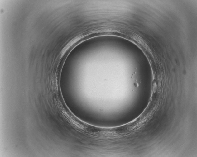 X0000060260789200511010912