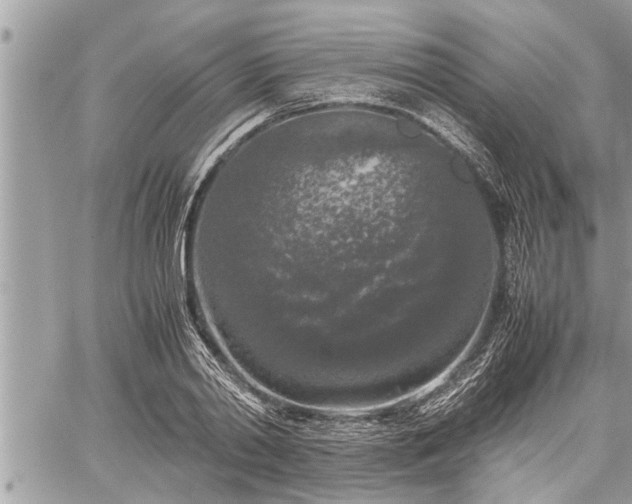 X0000060260790200511010911