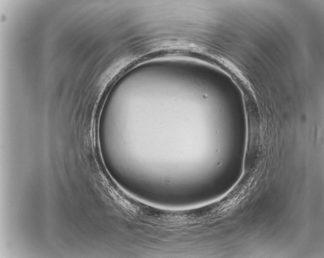 X0000060260791200511010911