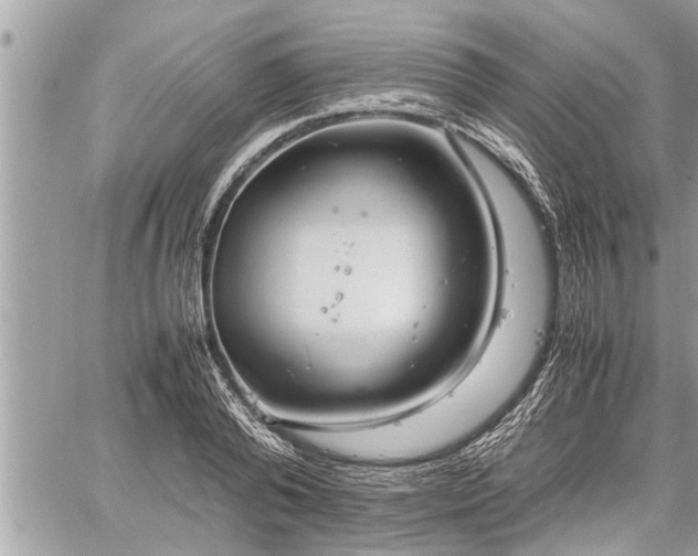 X0000060260792200511010911