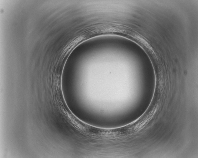 X0000060260793200511010911