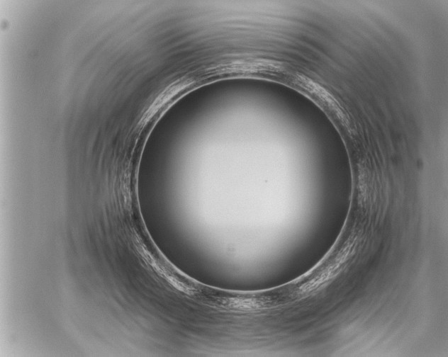 X0000060260794200511010911