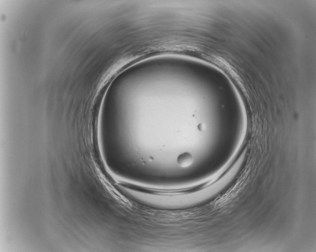 X0000060260795200511010911