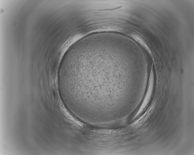 X0000060260797200511010911