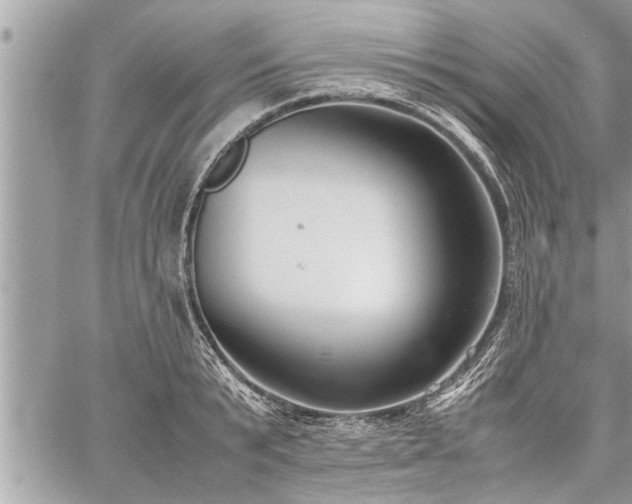 X0000060260799200511010911