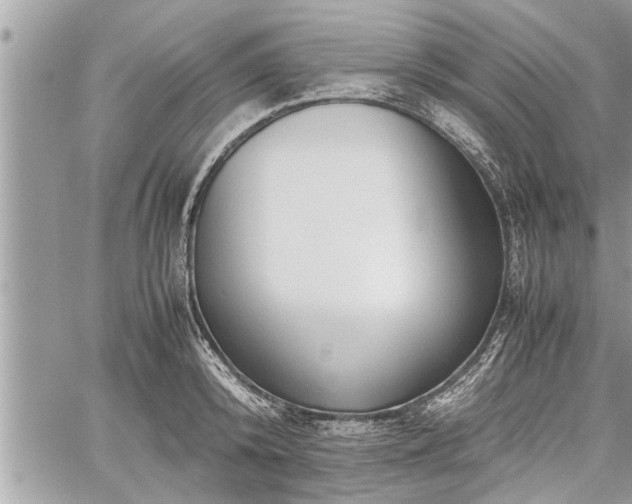 X0000060260800200511010911