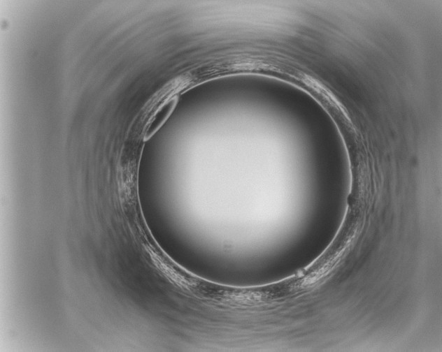 X0000060260801200511010911