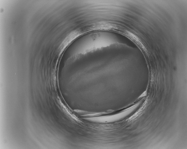 X0000060260802200511010911