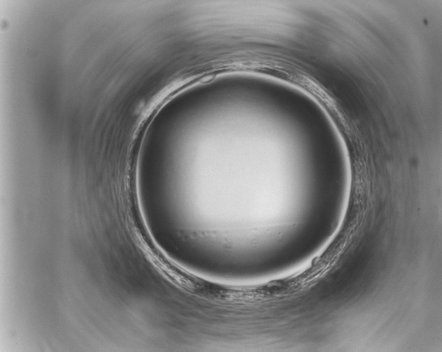 X0000060260803200511010911