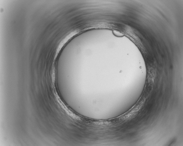 X0000060260804200511010911