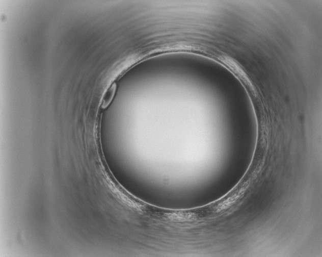 X0000060260805200511010911