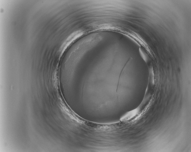 X0000060260806200511010911