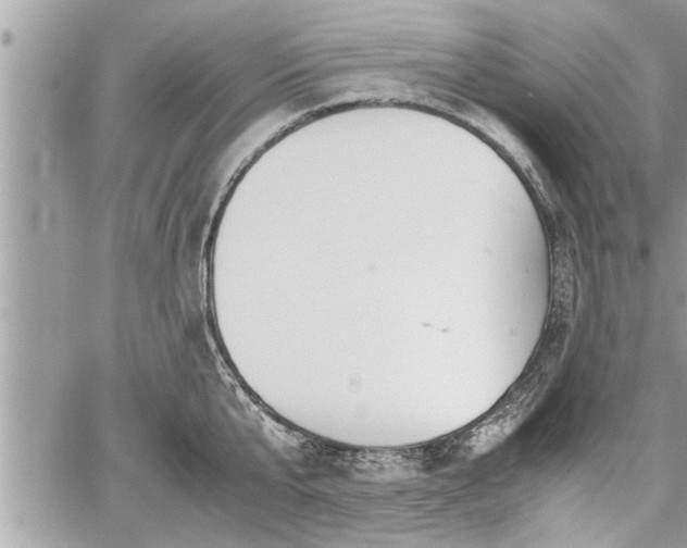 X0000060260807200511010911