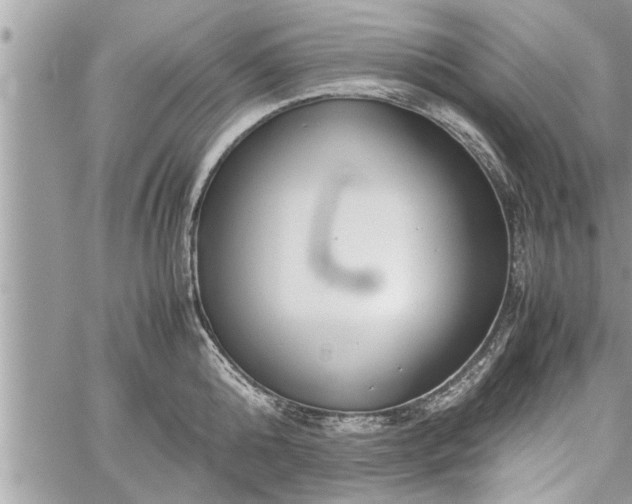 X0000060260808200511010911