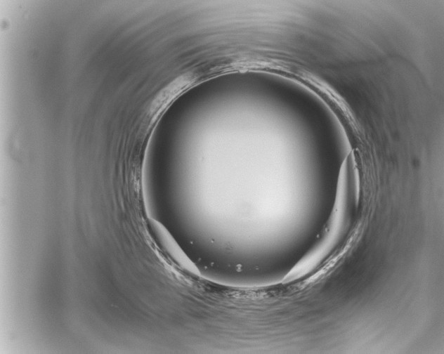 X0000060260809200511010911