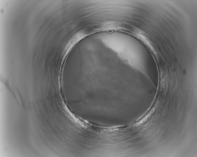 X0000060260810200511010911