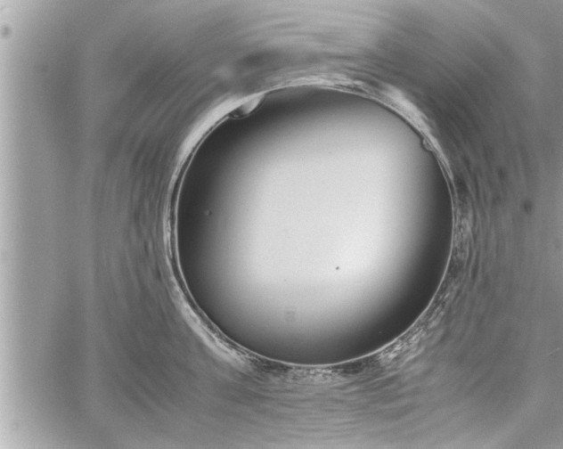 X0000060260811200511010911