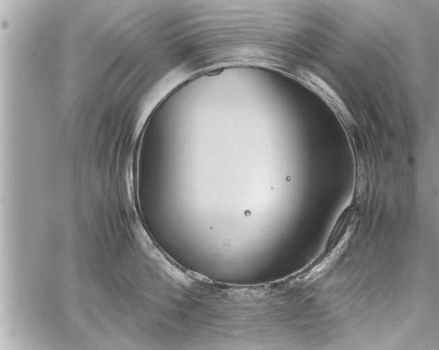 X0000060260812200511010911