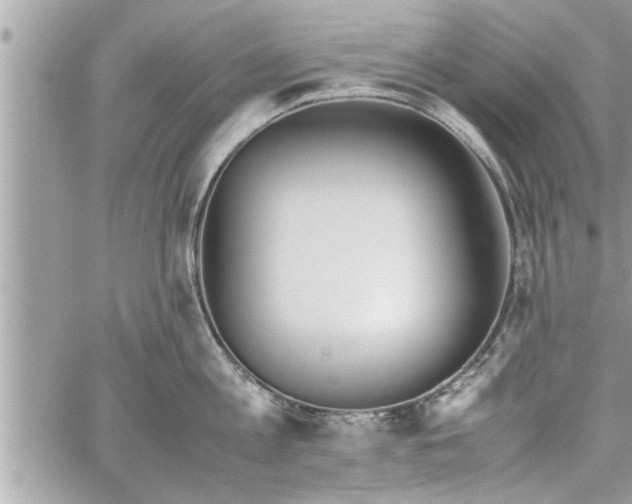 X0000060260813200511010911