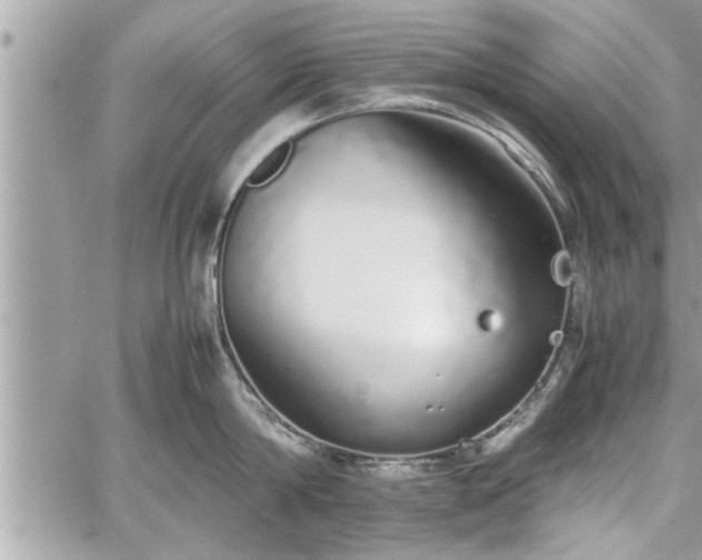 X0000060260814200511010911