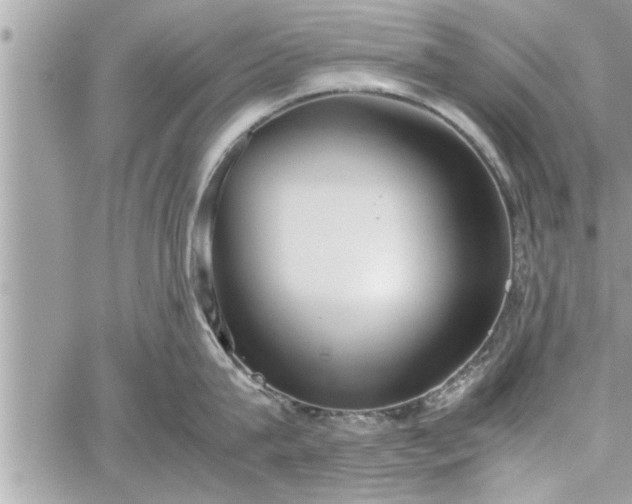 X0000060260815200511010911