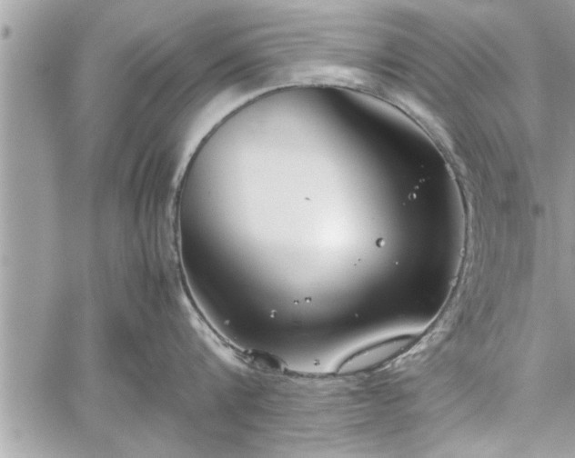 X0000060260816200511010911