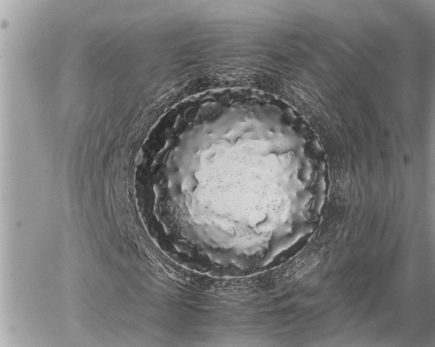 X0000060260817200511010910