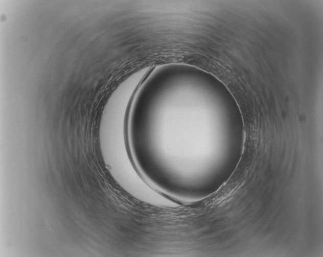 X0000060260818200511010910