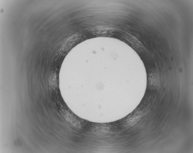 X0000060260820200511010910