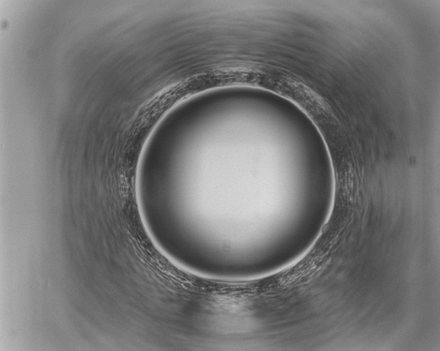 X0000060260821200511010910